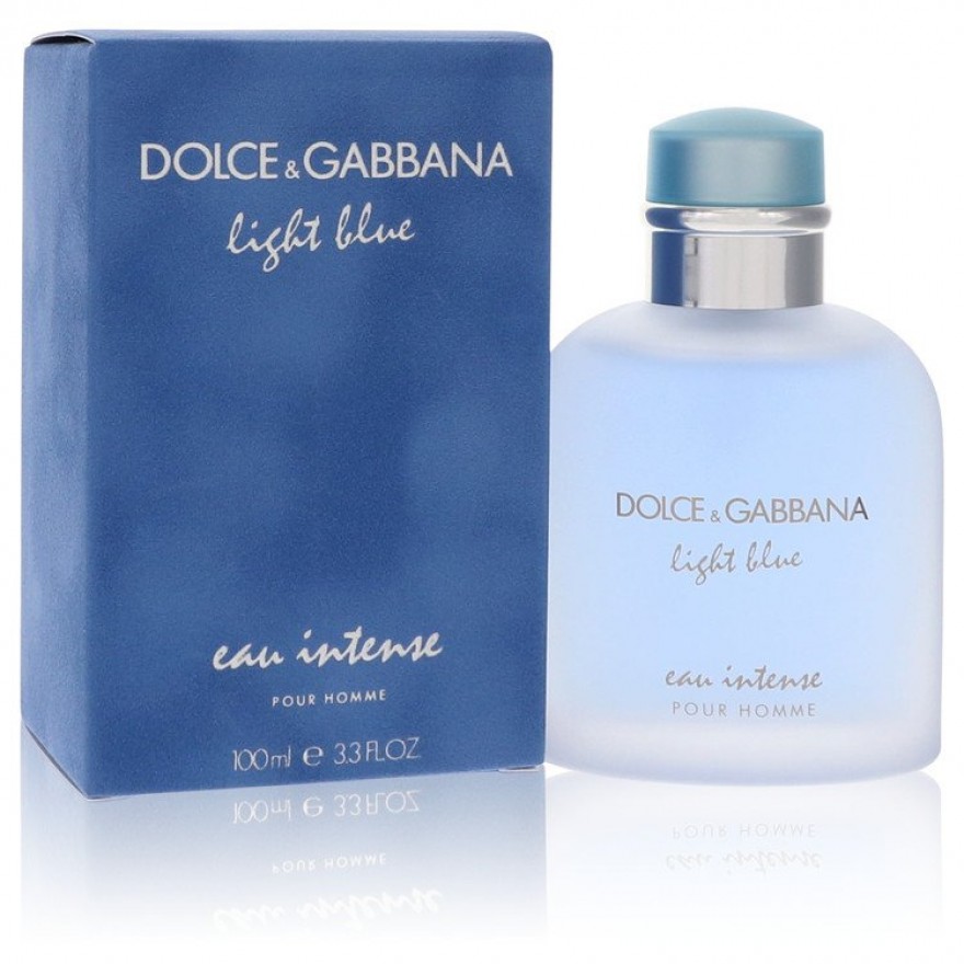 DOLCE GABBANA Light Blue PERFUM | Home